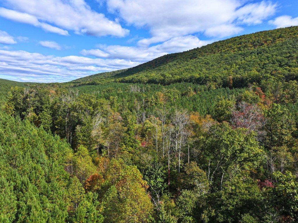 Photo of TBD Old Fire Tower Ln #0, Penhook, VA 24137 (MLS # 103804)