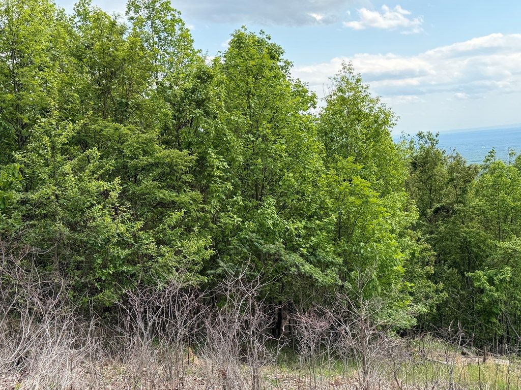 Photo of TBD Crystal Springs Dr #23, Fancy Gap, VA 24328 (MLS # 110156)