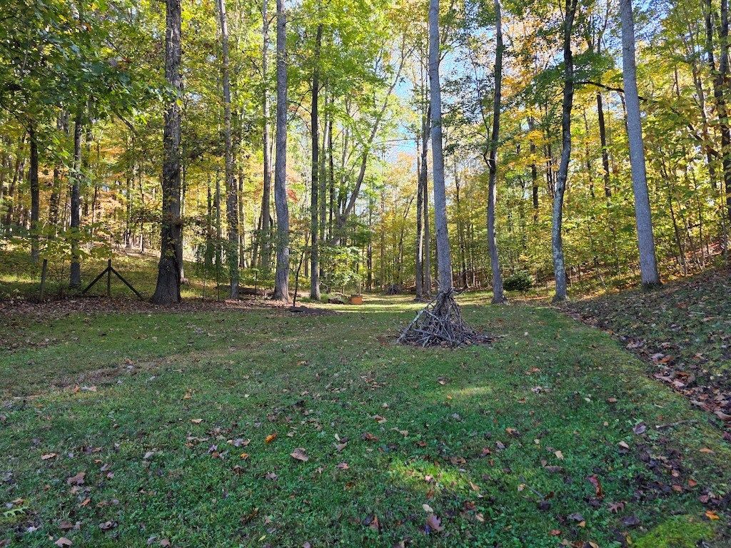 Photo of 4420 Woolwine Hwy, Stuart, VA 24171 (MLS # 104192)
