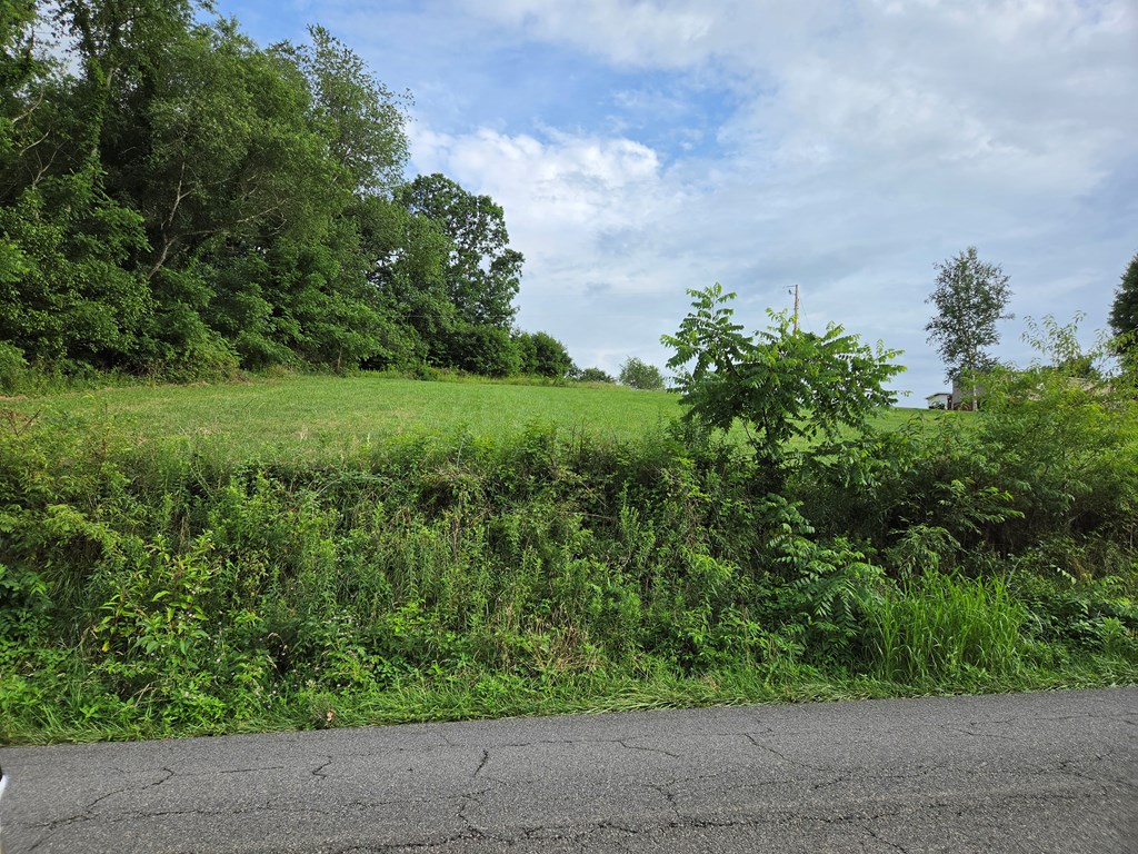 Lot 21 Rural Retreat Lake Rd