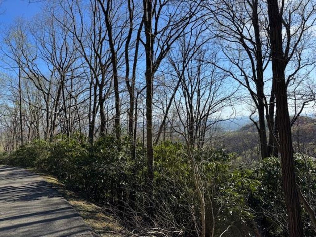 Photo of TBD Buck Hollar Rd #6, Hillsville, VA 24343 (MLS # 99472)