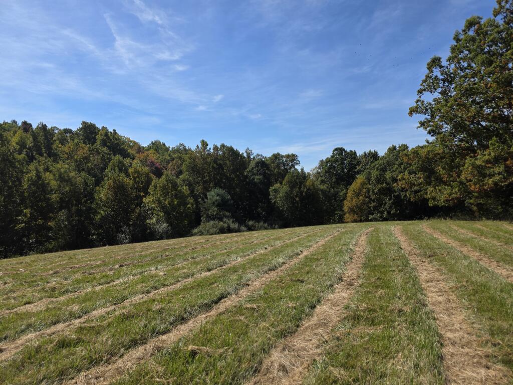 Photo of TBD Ridge Rd, Check, VA 24072 (MLS # 112220)