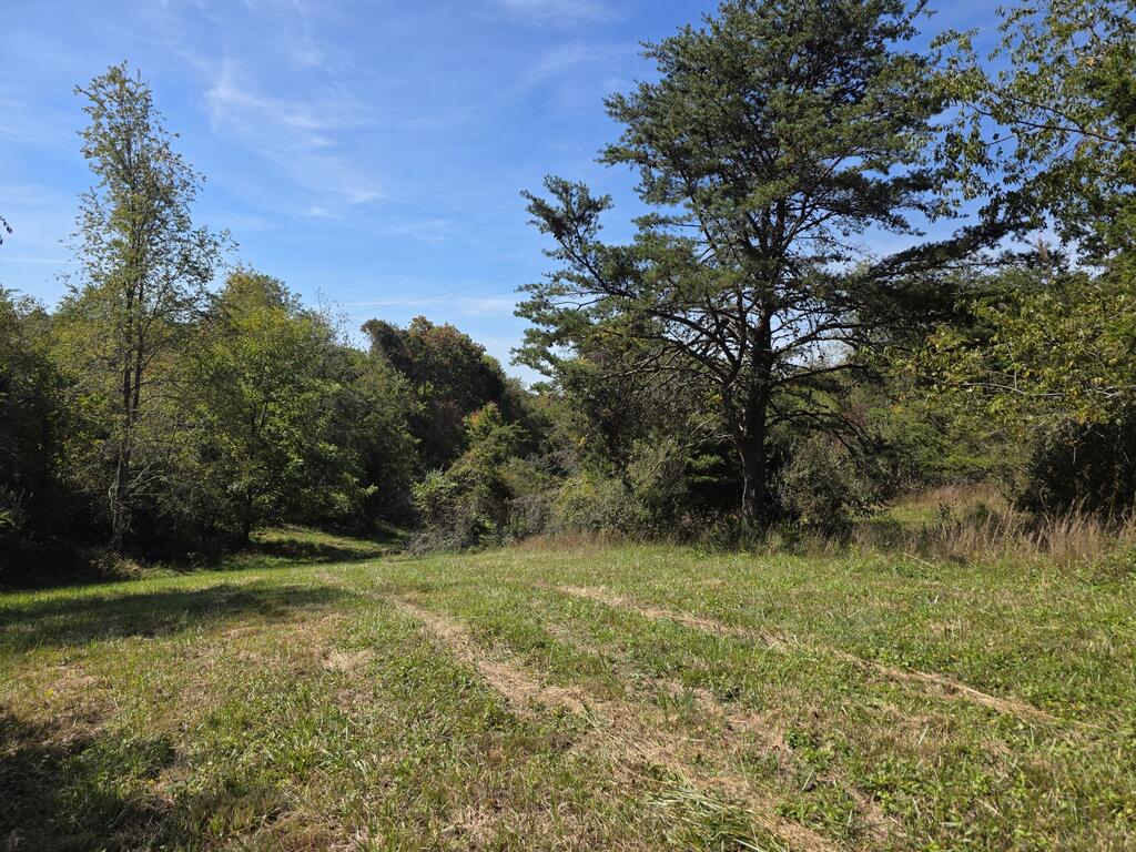 Photo of TBD Ridge Rd, Check, VA 24072 (MLS # 112220)