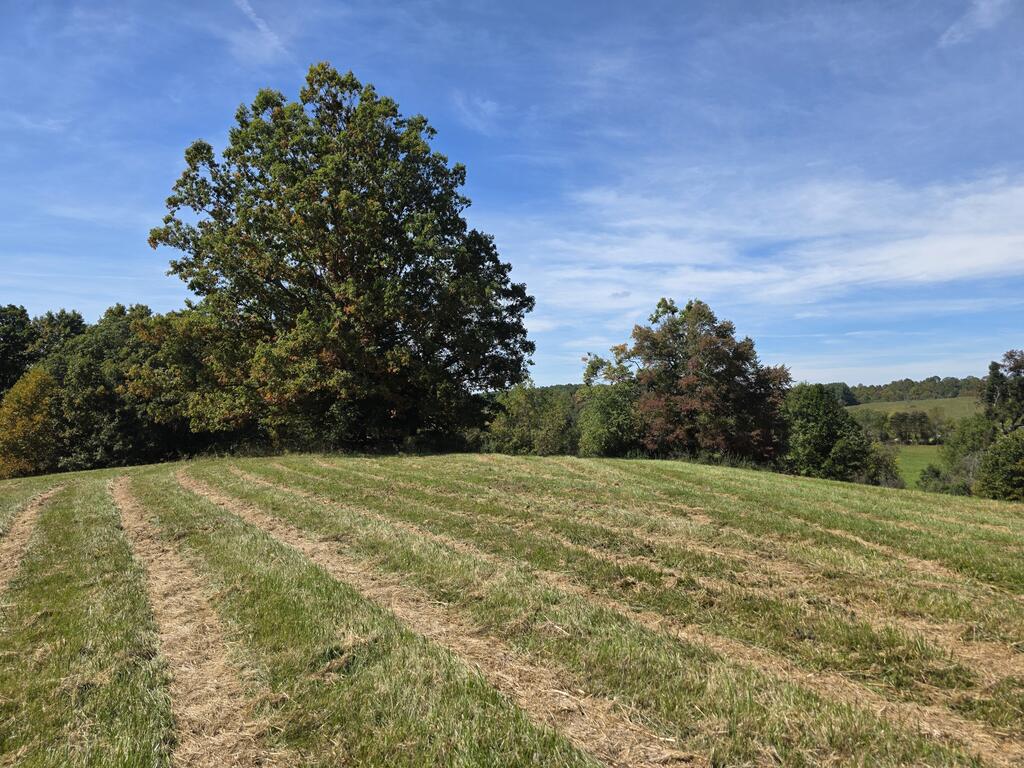 Photo of TBD Ridge Rd, Check, VA 24072 (MLS # 112220)