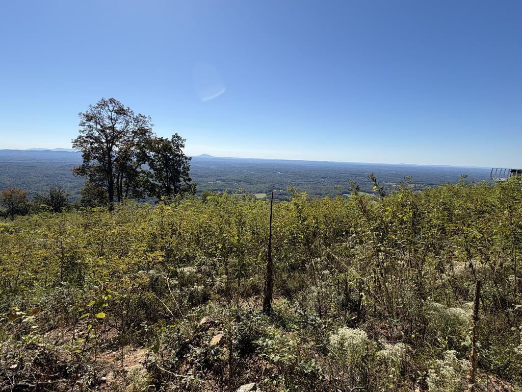 Photo of TBD Spring Pond Trail #73,75,76, Fancy Gap, VA 24328 (MLS # 112314)