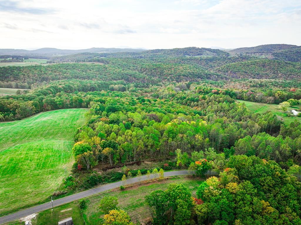 Photo of TBD Pedigo Ridge Rd #204, Claudville, VA 24076 (MLS # 109760)