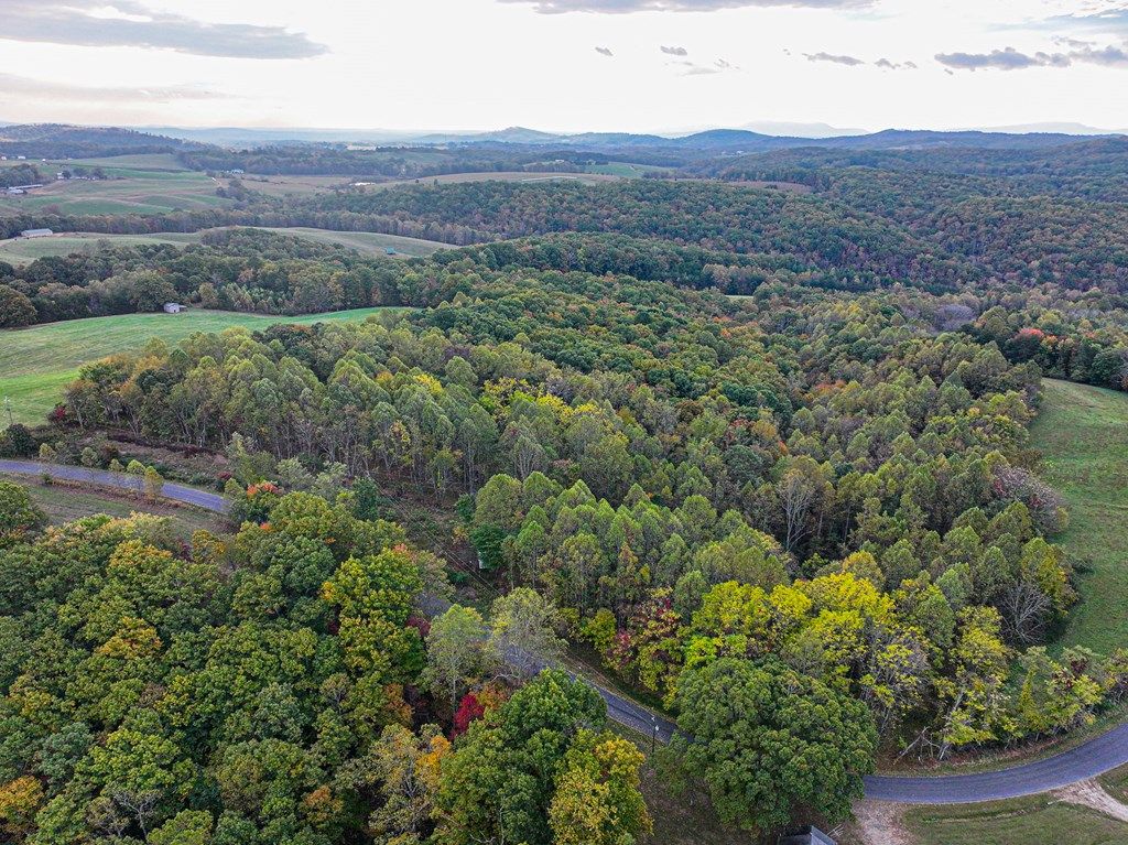 Photo of TBD Pedigo Ridge Rd #204, Claudville, VA 24076 (MLS # 109760)