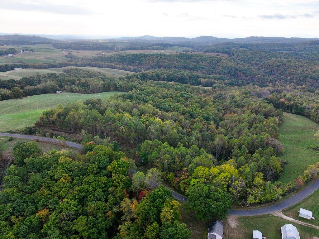 Photo of TBD Pedigo Ridge Rd #204, Claudville, VA 24076 (MLS # 109760)