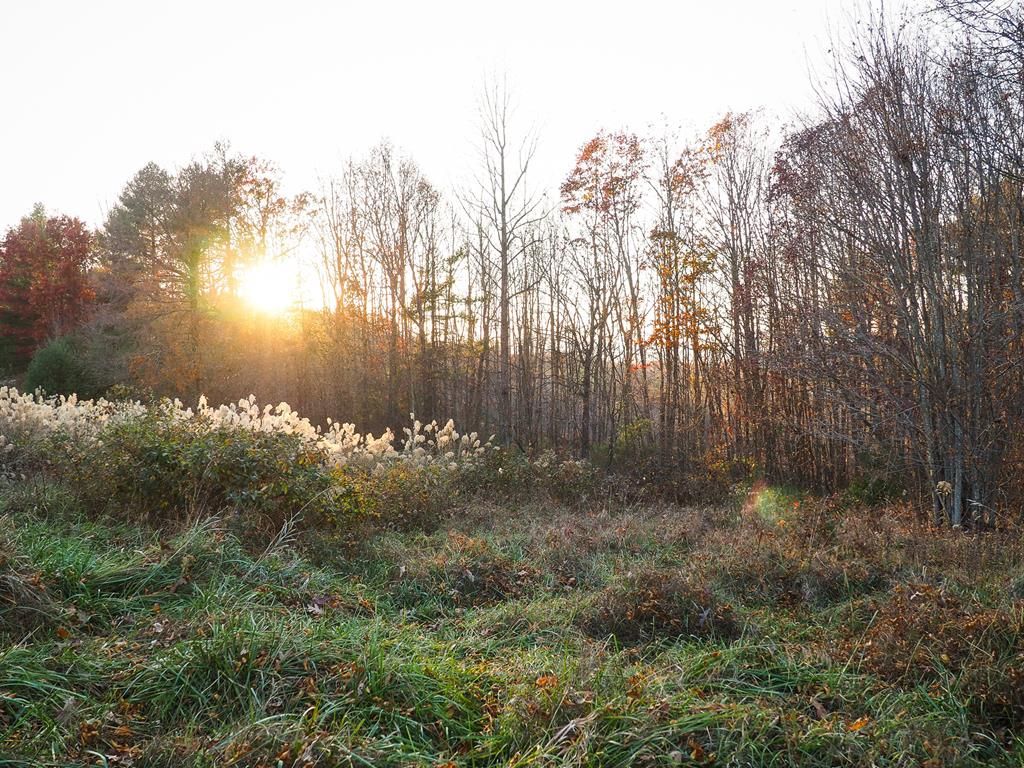 Photo of TBD Pridemoore Rd #9, Galax, VA 24333 (MLS # 91811)