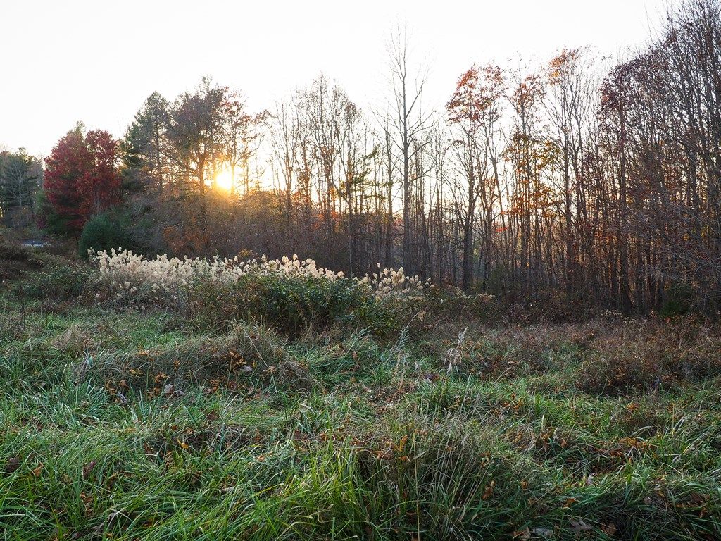 Photo of TBD Pridemoore Rd #9, Galax, VA 24333 (MLS # 91811)