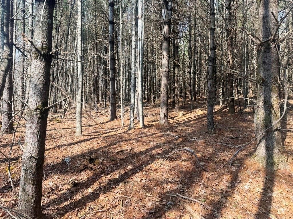 Photo of 13 Chances Creek Rd #13, Fancy Gap, VA 24328 (MLS # 109835)