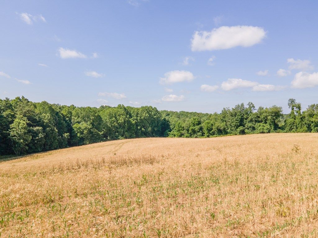 Photo of TBD Hanging Tree #51A99, Hillsville, VA 24343 (MLS # 98613)
