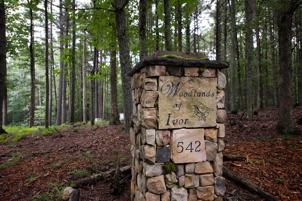 Photo of 542 Chestnut Falls Lane, Galax, VA 24333 (MLS # 109847)