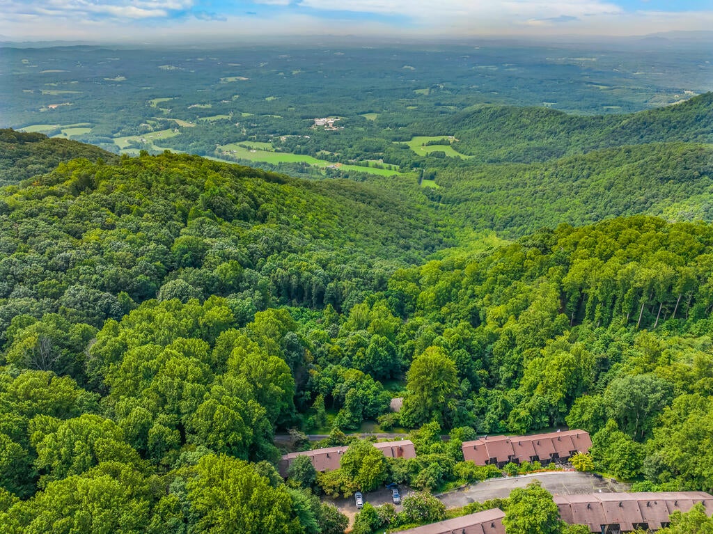 Photo of TBD Buck Hollar Rd #33, Hillsville, VA 24333 (MLS # 111648)