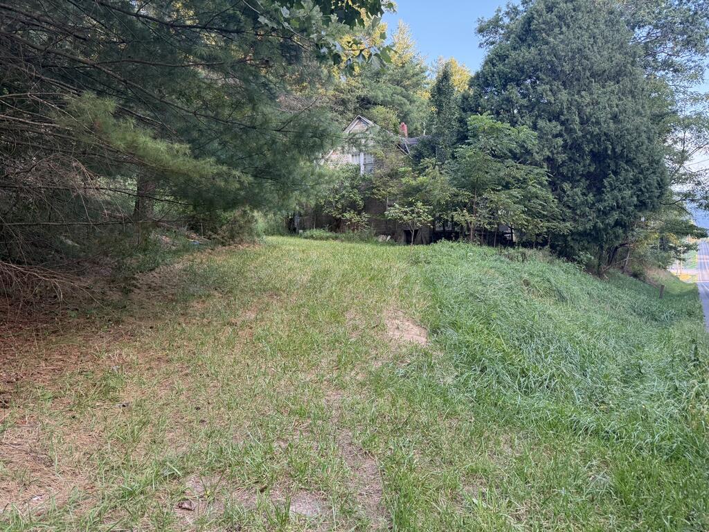 Photo of 10386 Elk Creek Parkway #20-A-181, Elk Creek, VA 24326 (MLS # 111784)