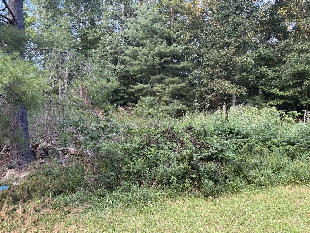 Photo of 10386 Elk Creek Parkway #20-A-181, Elk Creek, VA 24326 (MLS # 111784)