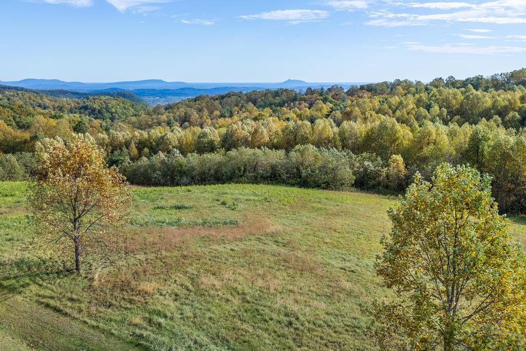 Photo of 130 Continental Dr #11, Hillsville, VA 24343 (MLS # 112316)