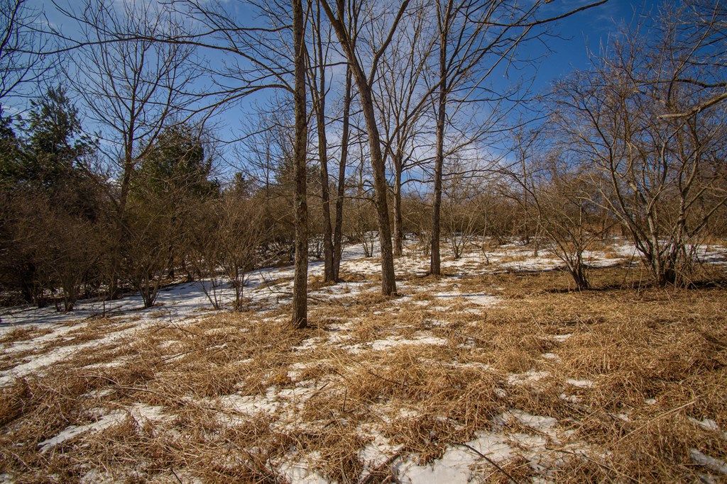 Photo of TBD Christiansburg Pike #None, Floyd, VA 24091 (MLS # 105909)