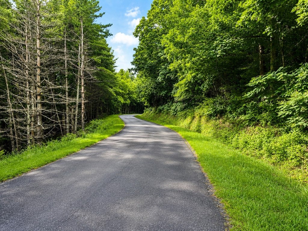 Photo of TBD Link Rd #0, Galax, VA 24333 (MLS # 111144)