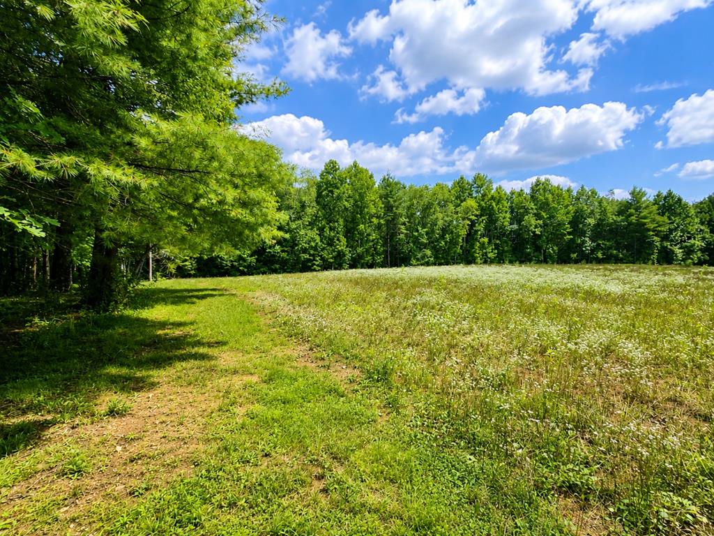 Photo of TBD Link Rd #0, Galax, VA 24333 (MLS # 111144)