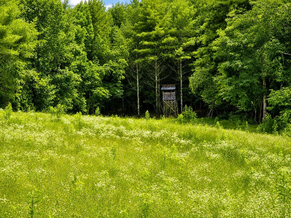 Photo of TBD Link Rd #0, Galax, VA 24333 (MLS # 111144)