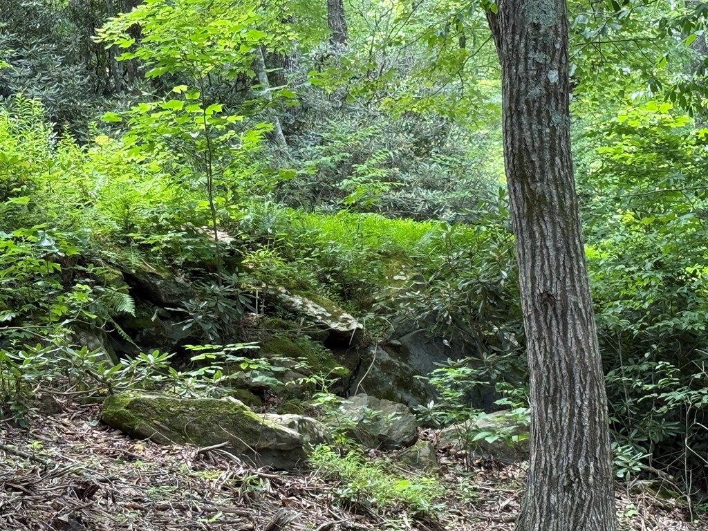 Photo of TBD TBD Seven Springs #2, Ararat, VA 24328 (MLS # 100789)