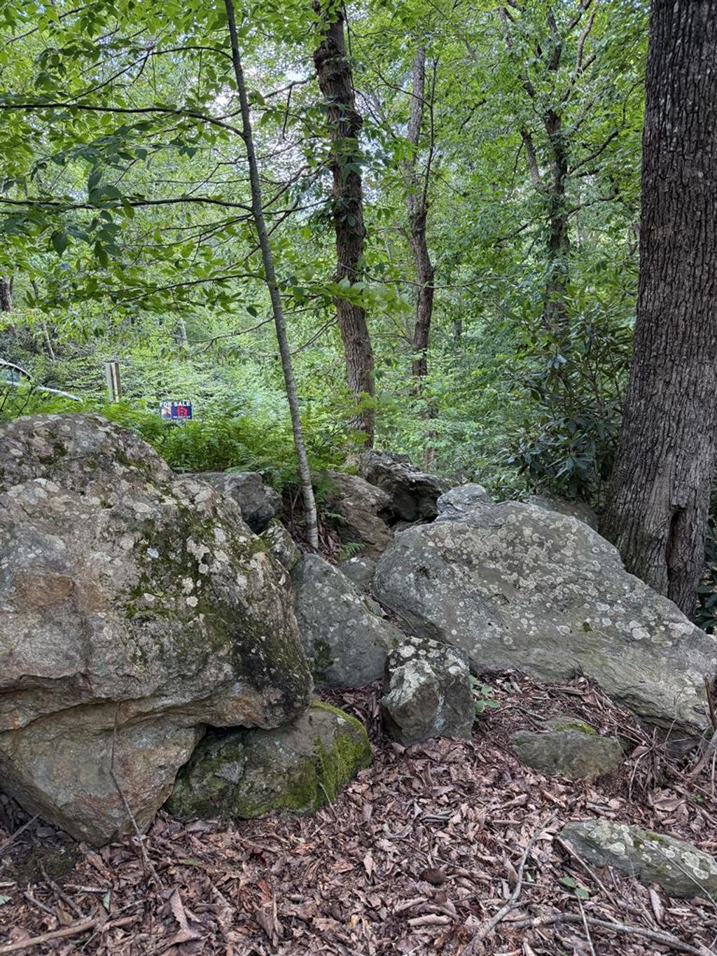 Photo of TBD TBD Seven Springs #2, Ararat, VA 24328 (MLS # 100789)