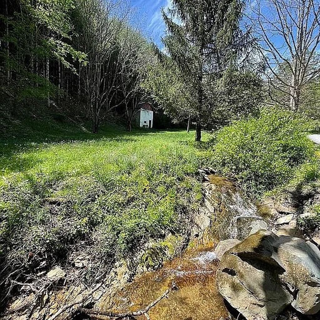Photo of 413 Low Gap Rd #0, Mouth of Wilson, VA 24363 (MLS # 104550)