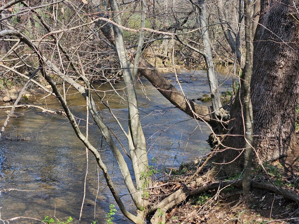 Photo of 00 Willas Gap #104, Ararat, VA 24053 (MLS # 109272)