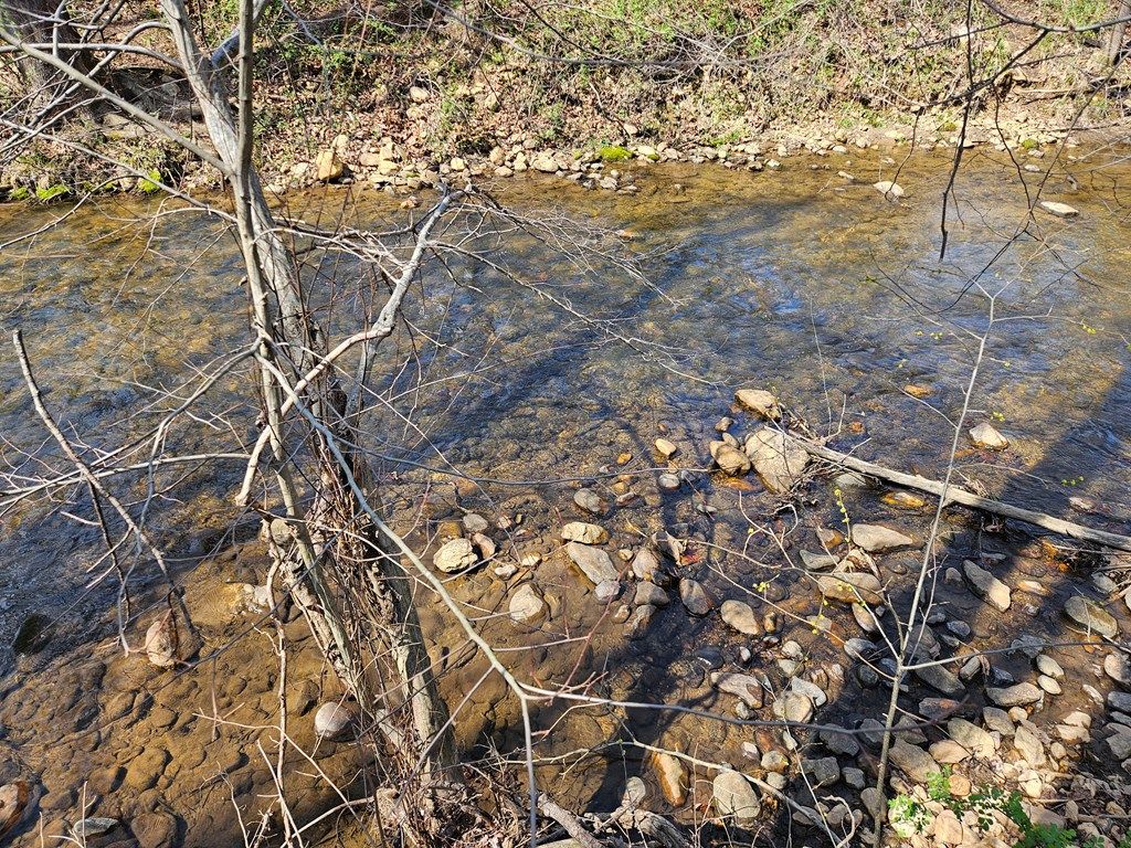 Photo of 00 Willas Gap #104, Ararat, VA 24053 (MLS # 109272)