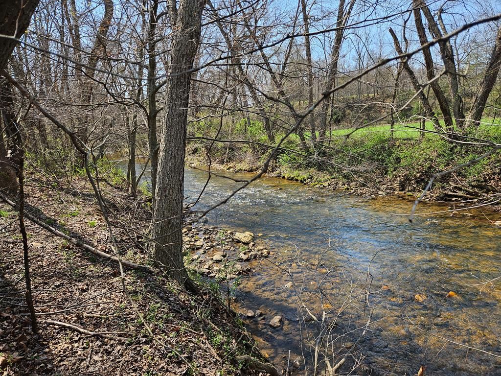Photo of 00 Willas Gap #104, Ararat, VA 24053 (MLS # 109272)