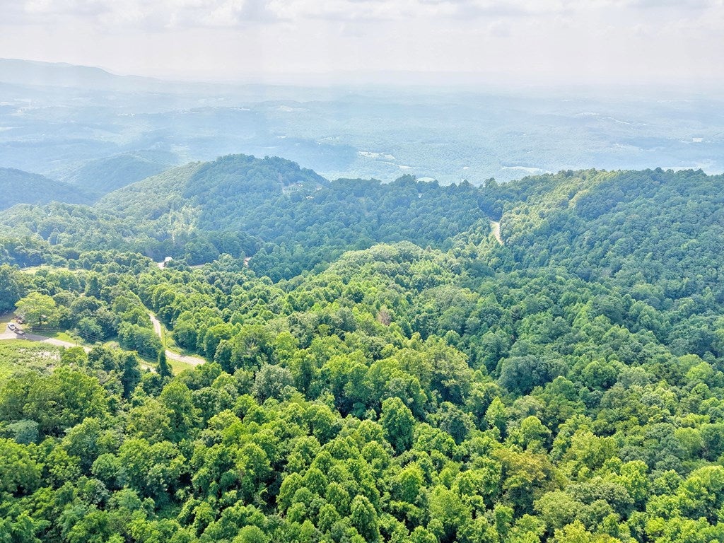 Photo of 24 Little Waterfalls Trl #See Aerial, Fancy Gap, VA 24328 (MLS # 111104)