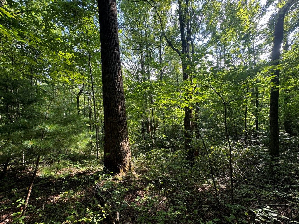 Photo of TBA Meadow Run Lane #25, Hillsville, VA 24343 (MLS # 95870)