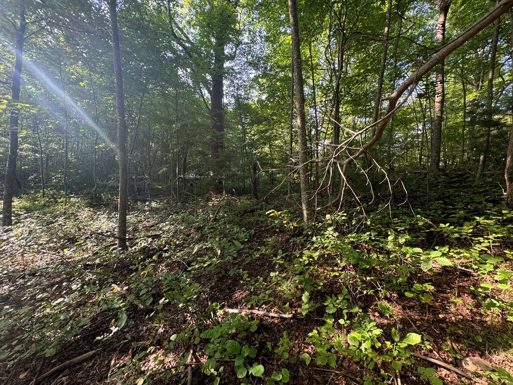 Photo of TBA Meadow Run Lane #25, Hillsville, VA 24343 (MLS # 95870)