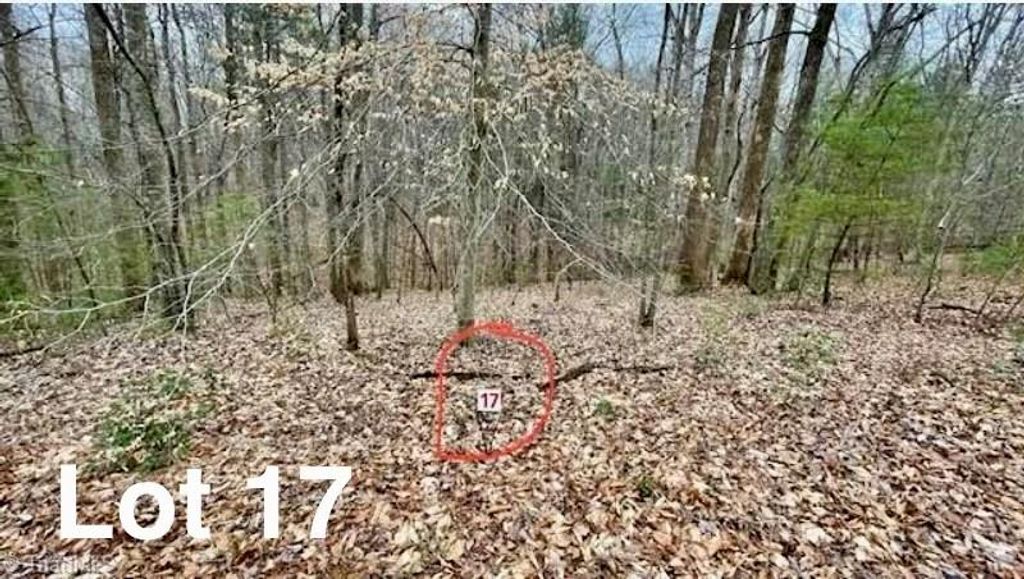 Photo of 17 Woods Haven Lane #17, Stuart, VA 24171 (MLS # 109069)