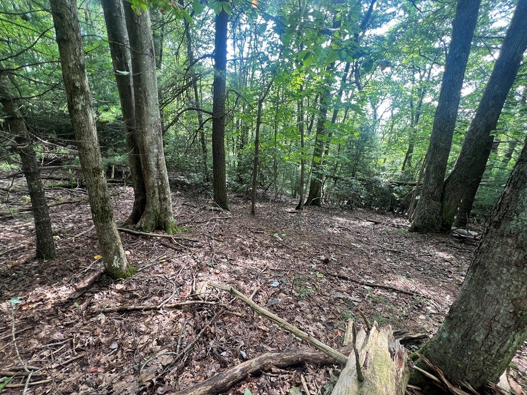 Photo of TBD Powhatan Trail Lots 41,42,43 #41,42,43, Fancy Gap, VA 24328 (MLS # 103066)