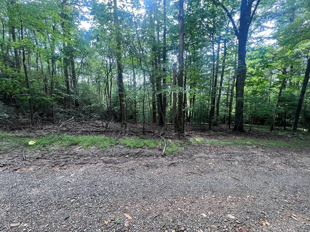 Photo of TBD Powhatan Trail Lots 41,42,43 #41,42,43, Fancy Gap, VA 24328 (MLS # 103066)