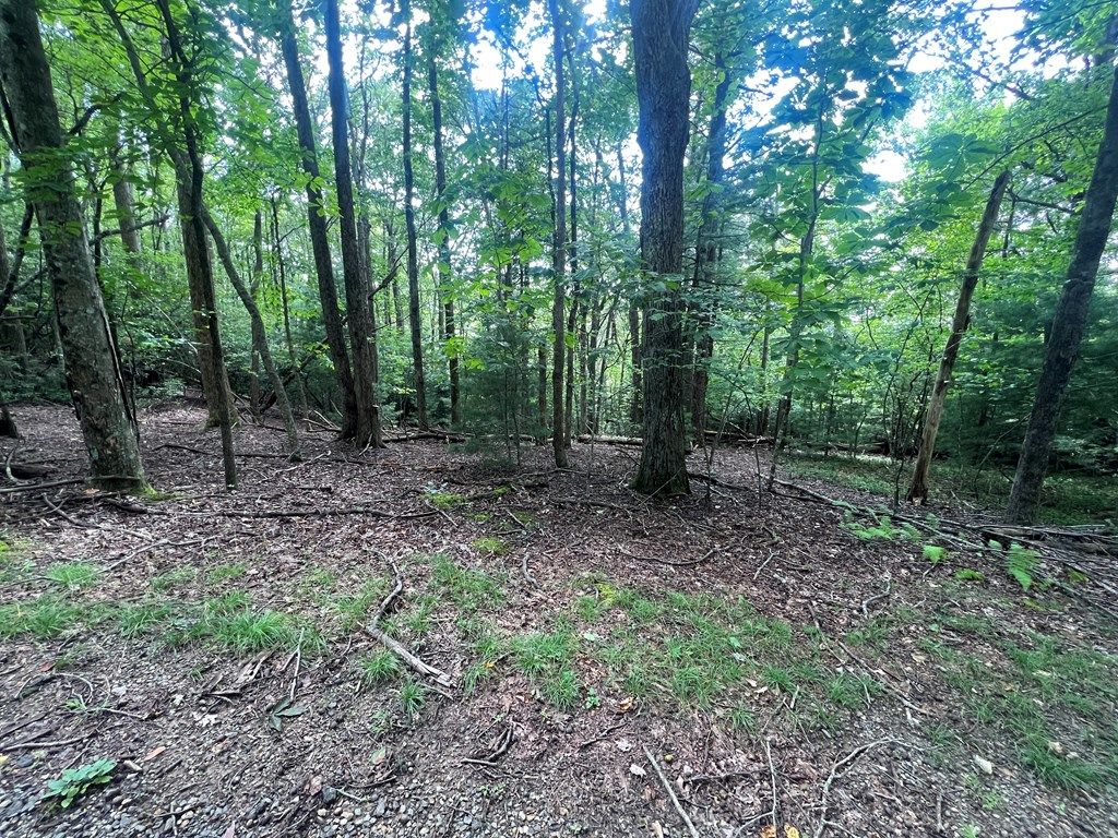 Photo of TBD Powhatan Trail Lots 41,42,43 #41,42,43, Fancy Gap, VA 24328 (MLS # 103066)