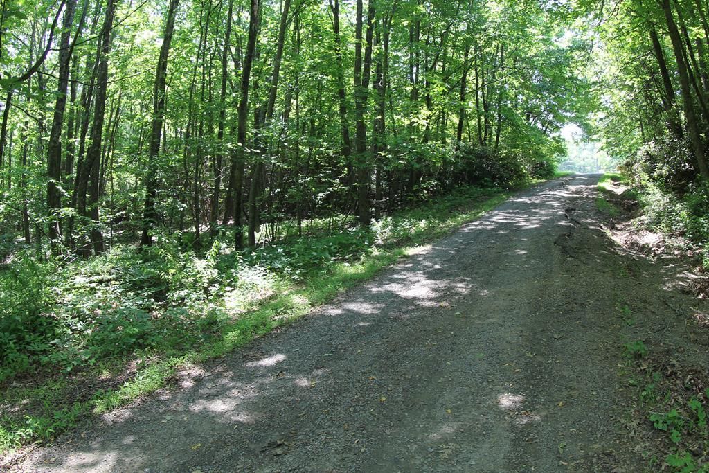 Photo of 0 Misty Acres #4, Meadows of Dan, VA 24120 (MLS # 81800)