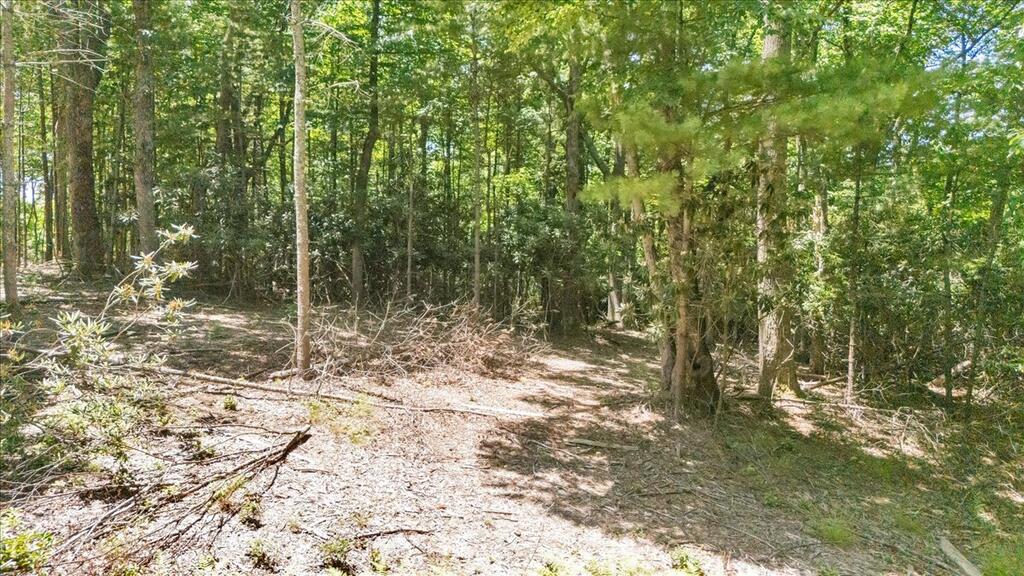 Photo of TBD Dogwood Ridge #30&amp;31, Fancy Gap, VA 24328 (MLS # 112122)