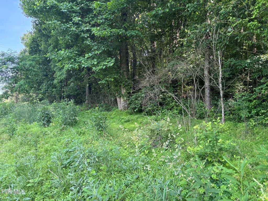 Photo of TBD Reedy Creek Road #12, Abingdon, VA 24210 (MLS # 104540)