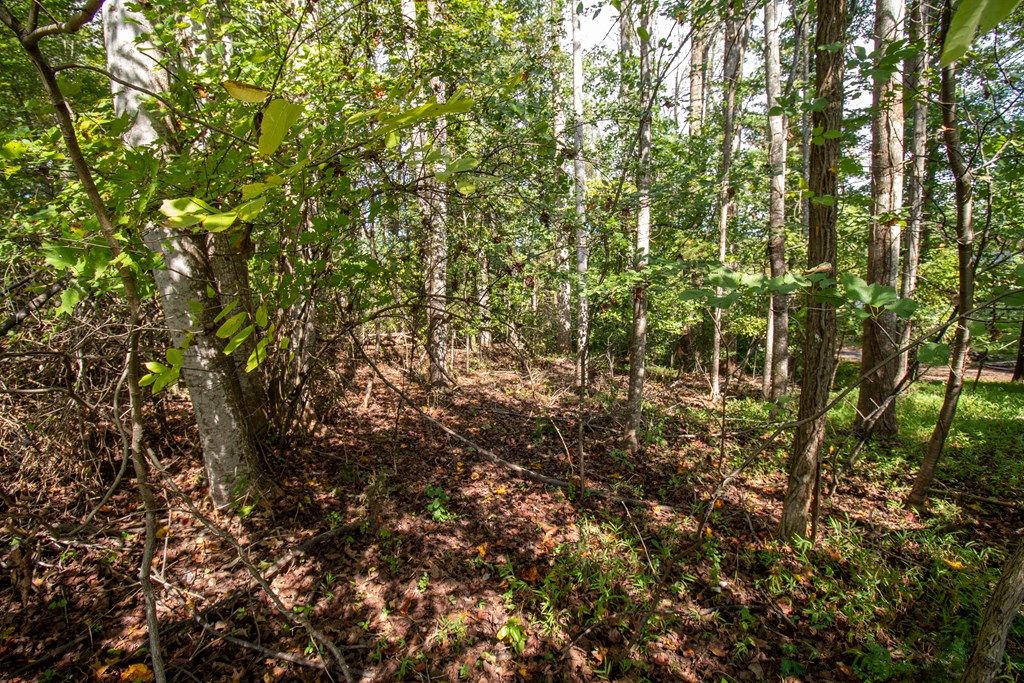 Photo of TBD Golf Course Rd #14 & 38, Spencer, VA 24165 (MLS # 103690)