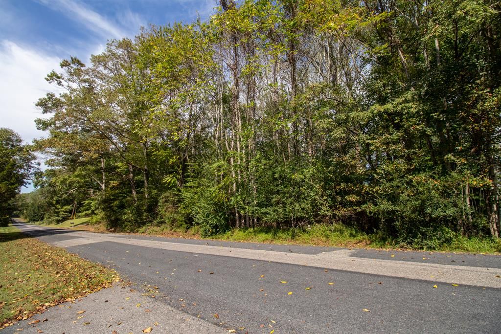 Photo of TBD Golf Course Rd #14 & 38, Spencer, VA 24165 (MLS # 103690)