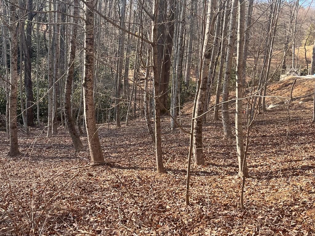 Photo of Tbd Brookside Tr #129A-3-78, Fancy Gap, VA 24328 (MLS # 98722)