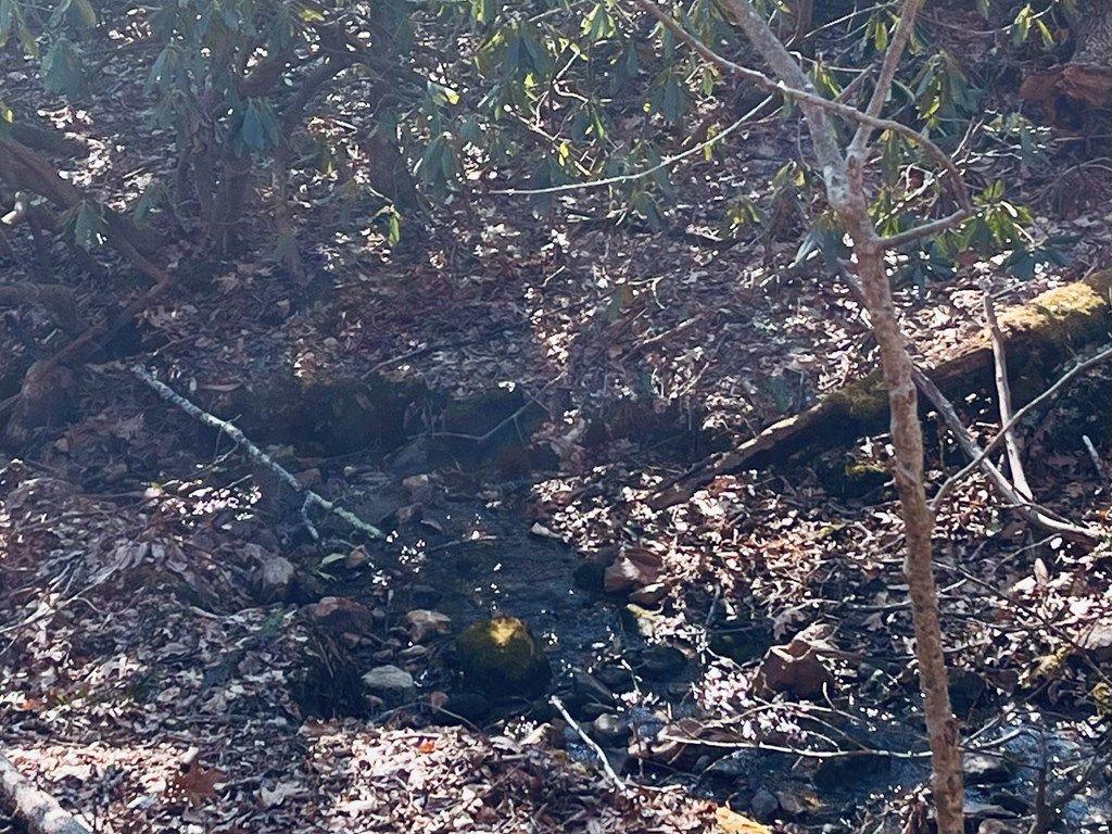 Photo of Tbd Brookside Tr #129A-3-78, Fancy Gap, VA 24328 (MLS # 98722)