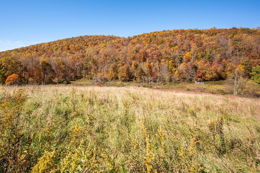 Photo of 971 Phadettia Road #0, Willis, VA 24380 (MLS # 109297)