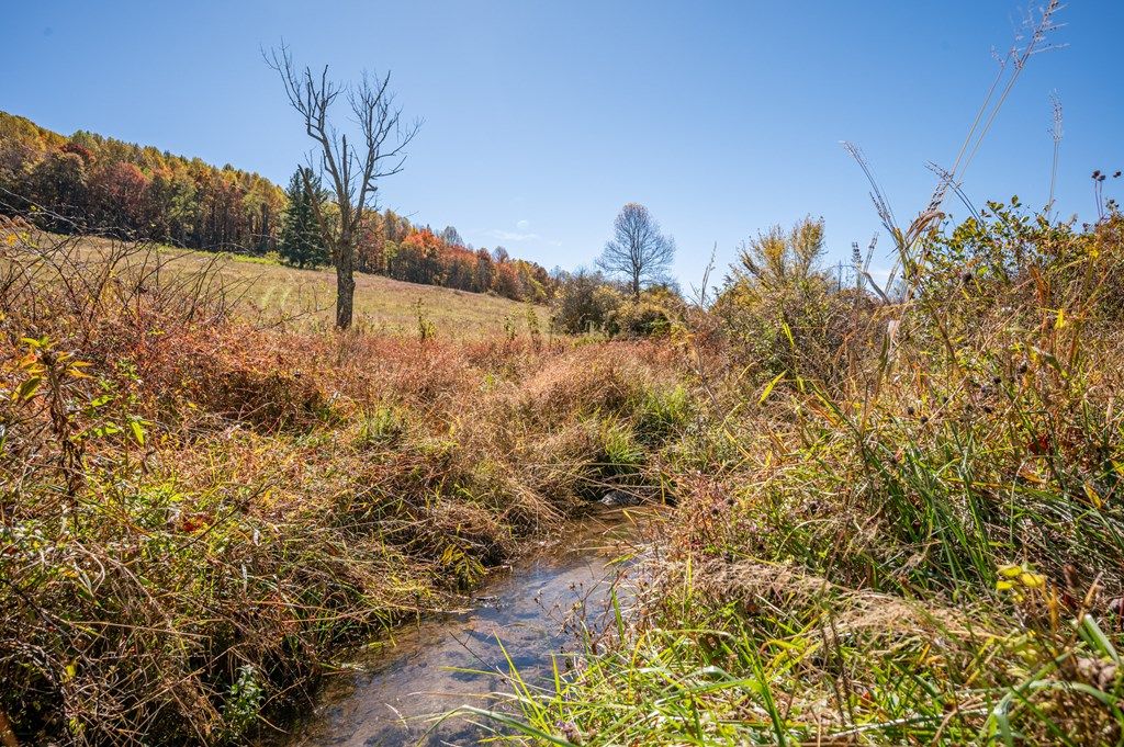 Photo of 971 Phadettia Road #0, Willis, VA 24380 (MLS # 109297)