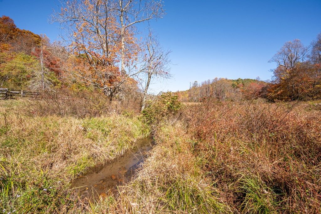 Photo of 971 Phadettia Road #0, Willis, VA 24380 (MLS # 109297)