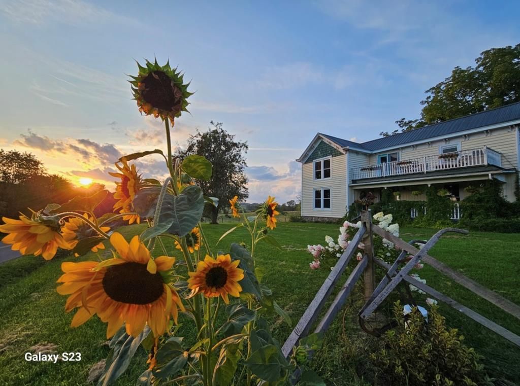 Photo of 7561 7561 Snake Creek Rd, Hillsville, VA 24343 (MLS # 105932)