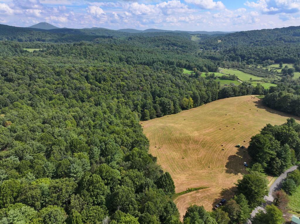 Photo of TBD Shady Grove Road NW #n/a, Willis, VA 24380 (MLS # 111737)
